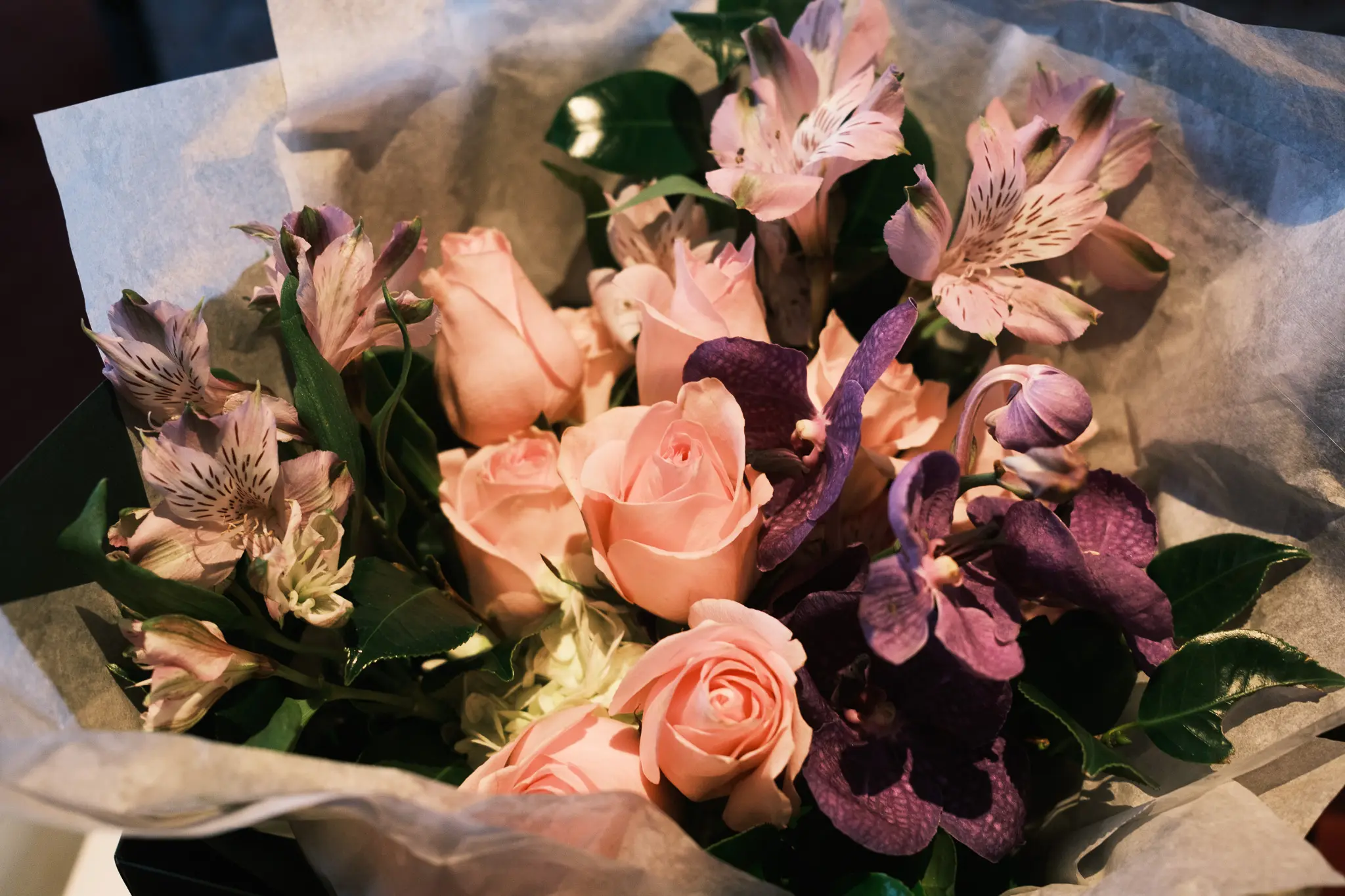 기념일을 위한 러브 인 레스케이프 패키지