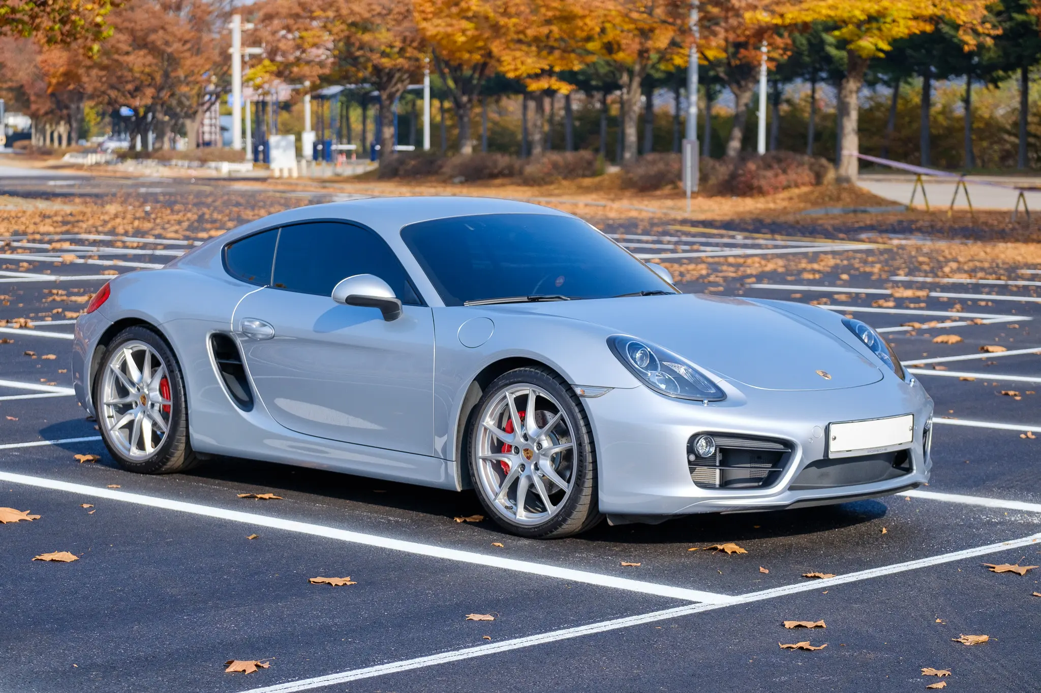 흔하지 않았던 Rhodium Silver Metallic 색상