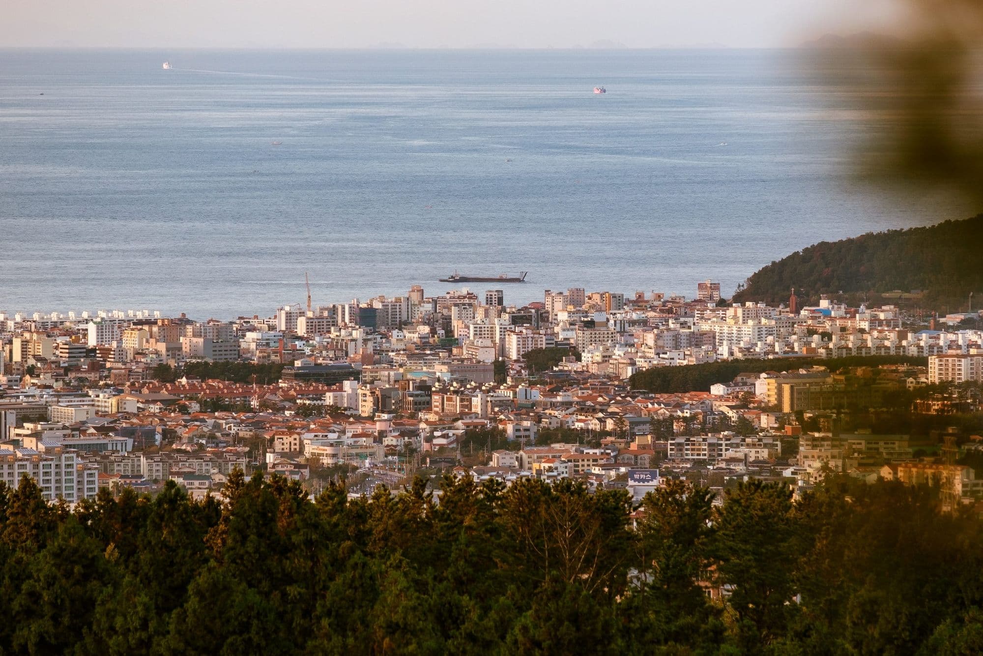 멀리 보이는 제주시