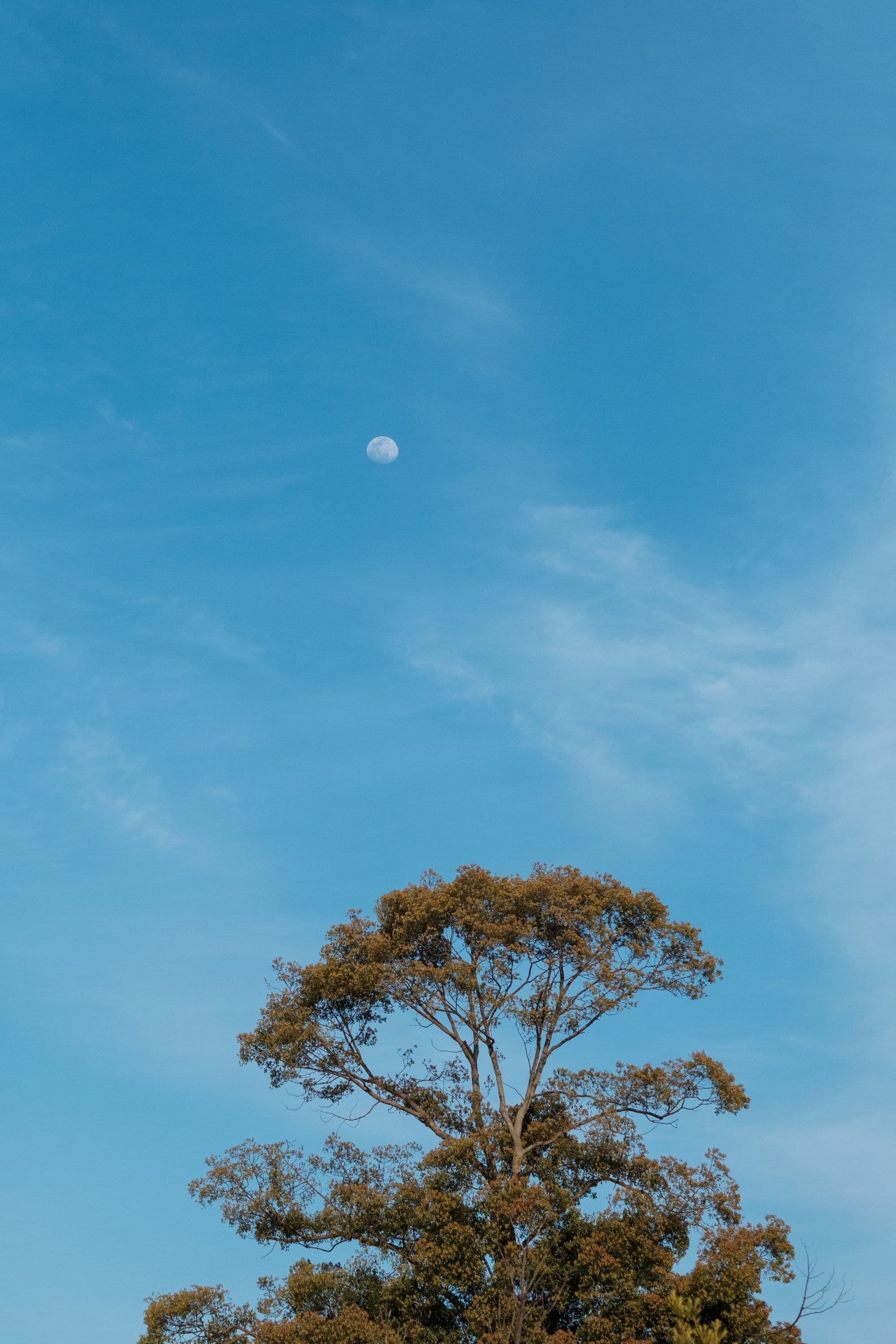 제주 아라동 어느 길