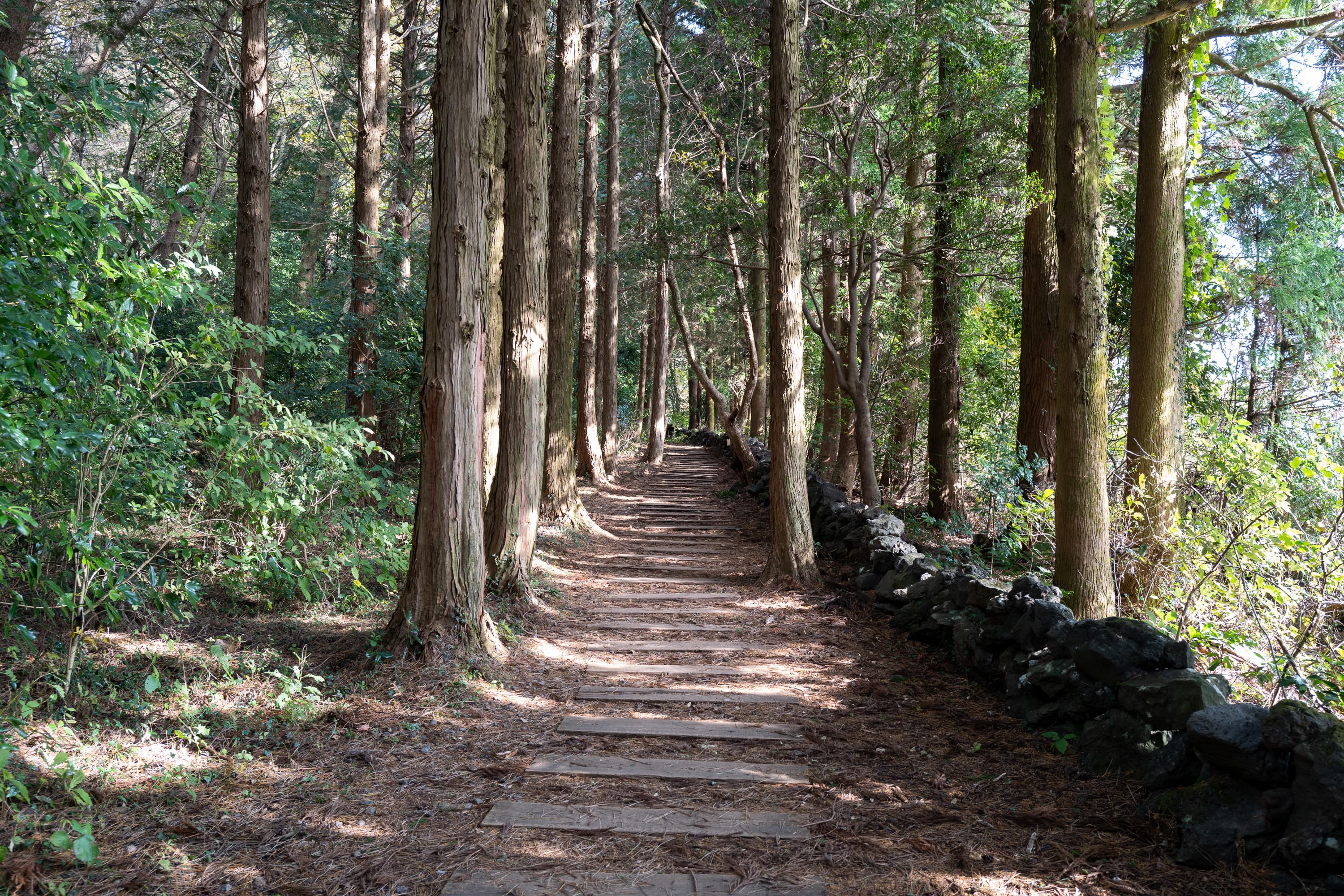 셀프 웨딩 촬영했던 그 스팟